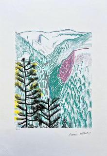David Hockney - The Yosemite suite - Black Tree 3 /500 - limitovaná edice s certifikátem, 35x50 cm