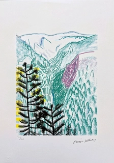 David Hockney - The Yosemite suite - Black Tree x/500 - limitovaná edice s certifikátem, 35x50 cm