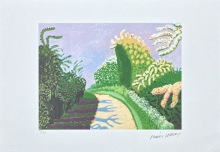David Hockney - Hawthorn Blossom 35/500 - limitovaná edice s certifikátem, 50x35 cm
