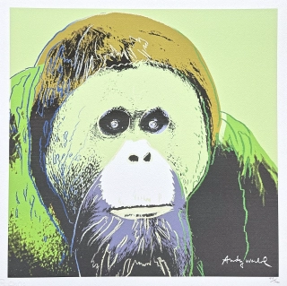 Andy Warhol - Orangutan zeleno-hnědý 46/500 - signováno, 50x50cm, limitovaná edice CMOA s certifikátem