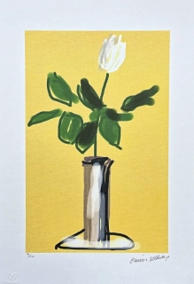 David Hockney - White Rose 79/500 - limitovaná edice, s certifikátem, 35x50 cm
