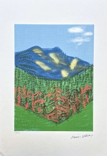 David Hockney - Green hills and blue mountain 30/500 - limitovaná edice, s certifikátem, 35x50 cm