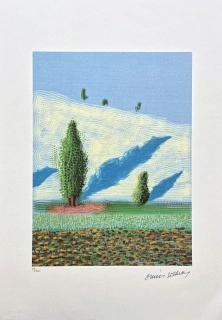 David Hockney - The Yosemite Suit no. 10 29/500 - limitovaná edice, s certifikátem, 35x50 cm