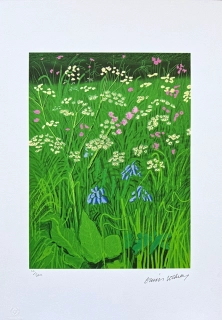 David Hockney - The Arrival of Spring in Woldgate - Salts Mills x/500 - limitovaná edice s certifikátem, 35x50 cm