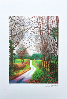 David Hockney - The Arrival of Spring in Woldgate 29th December 63/500 - limitovaná edice s certifikátem, 35x50 cm