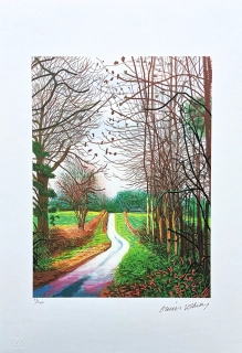 David Hockney - The Arrival of Spring in Woldgate 29th December x/500 - limitovaná edice s certifikátem, 35x50 cm