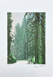 David Hockney - The Yosemite suite - Trees in the fog 31/500 - limitovaná edice s certifikátem, 35x50 cm