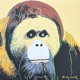Andy Warhol - Orangutan hnědý 451/2400 - 60x60cm, limitovaná edice CMOA s certifikátem