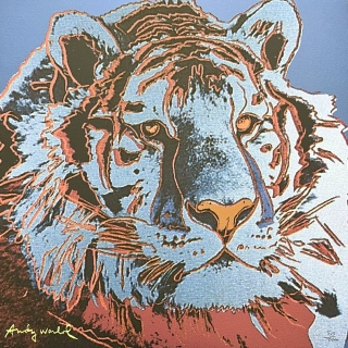 Andy Warhol - Tiger modrý 513/2400 - 60x60cm, limitovaná edice CMOA s certifikátem
