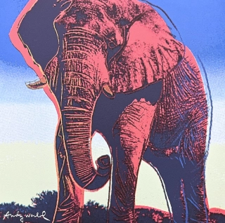 Andy Warhol - Elephant na modro-bílém pozadí 173/2400 - 60x60 cm, limitovaná edice CMOA s certifikátem