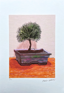 David Hockney - Bonsai 158/500 - limitovaná edice s certifikátem, 35x50 cm