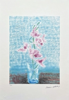 David Hockney - Pink Orchid 32/500 - limitovaná edice s certifikátem, 35x50 cm