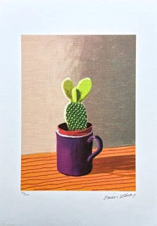 David Hockney - The cactus on a table x/500 - limitovaná edice, s certifikátem, 35x50 cm