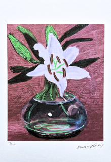 David Hockney - Flowers in a vase 218/500 - limitovaná edice, s certifikátem, 35x50 cm