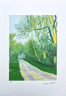 David Hockney - The Arrival of spring in Woldgate East Yorkshire in 2011 - 12 April no.2 - x/500 - limitovaná edice s certifikátem, 35x50 cm