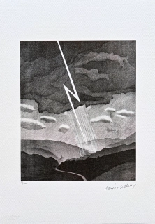 David Hockney - Lightning 25/200 - limitovaná edice, s certifikátem, 35x50 cm