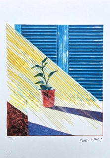 David Hockney - Sun ll x/500 - limitovaná edice, s certifikátem, 35x50 cm