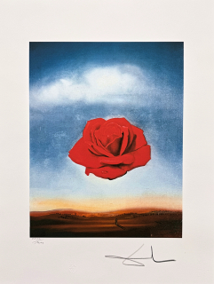 Salvador Dalí - Rose Meditative - signováno, limitovaná edice, 50x66cm
