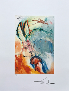 Salvador Dalí - Alice in Wonderland - signováno, limitovaná edice, 50x66cm