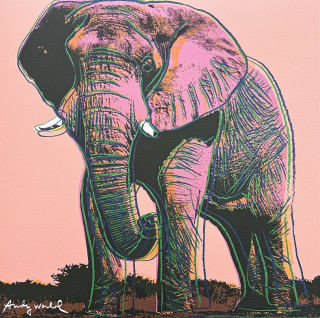 Andy Warhol - Elephant světle oranžové pozadí x/2400 - 60x60 cm, limitovaná edice CMOA s certifikátem