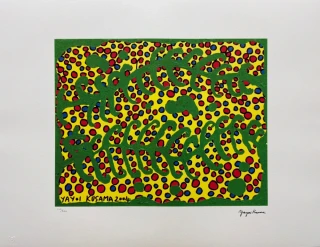 Yayoi Kusama - Green Lines and Dots x/500 - signováno, číslovaná edice, 65x50 cm