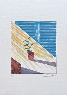 David Hockney - Sun x/200 - limitovaná edice, s certifikátem, 35x50 cm