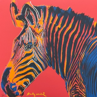 Andy Warhol - Grevys zebra červená x/2400 - 60x60 cm, limitovaná edice CMOA s certifikátem