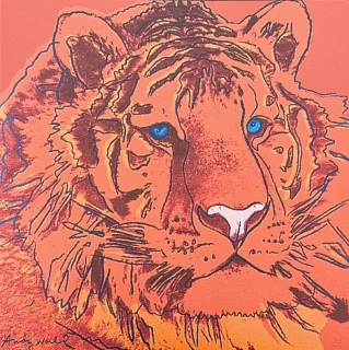 Andy Warhol - Tiger oranžový 311/2400 - 60x60cm, limitovaná edice CMOA s certifikátem