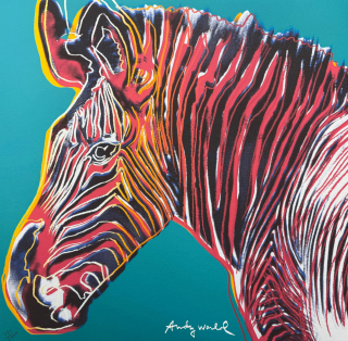 Andy Warhol - Grevys zebra modrá 171/2400 - 60x60cm, limitovaná edice CMOA s certifikátem